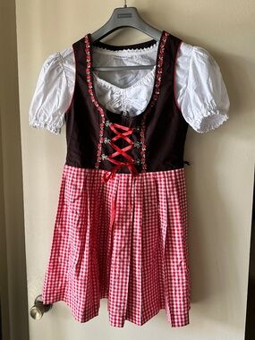 Authentic Bavarian Dirndl Oktoberfest Dress from Munchen Germany (not a costume)